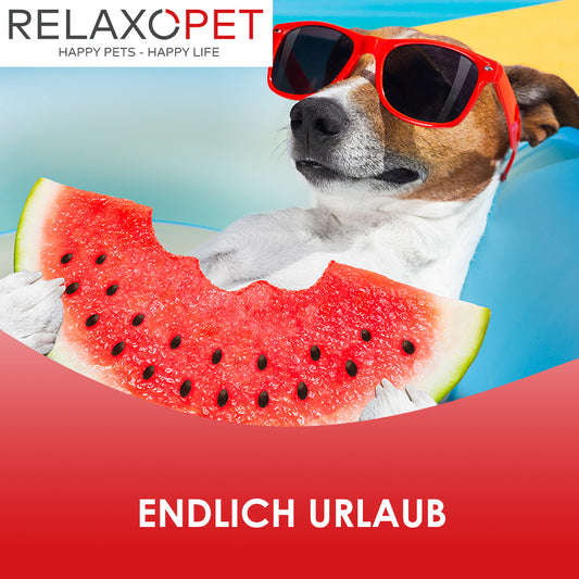 Endlich Urlaub