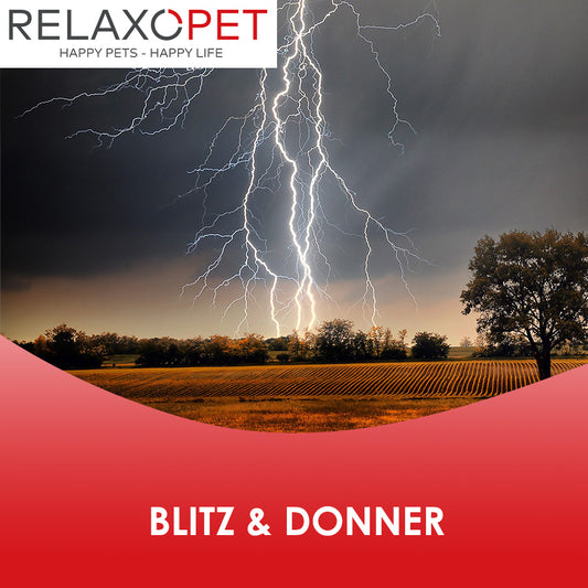 Blitz & Donner