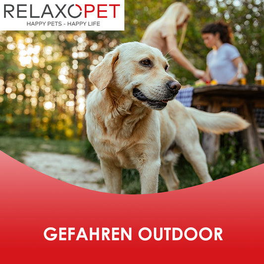 Gefahren im Freien
