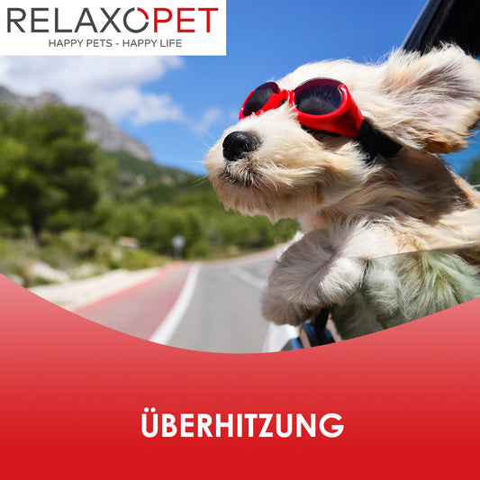 Überhitzung vermeiden