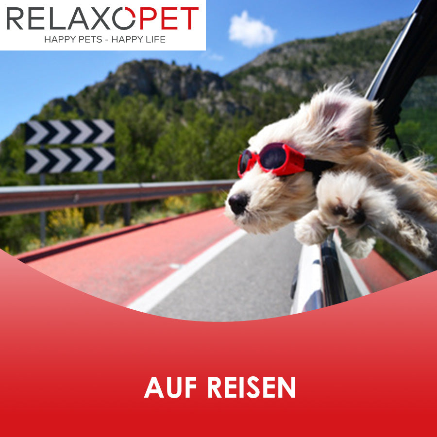 Reisen mit dem Haustier