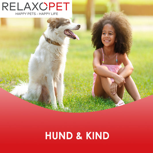 Hund und Kinder aneinander gewöhnen
