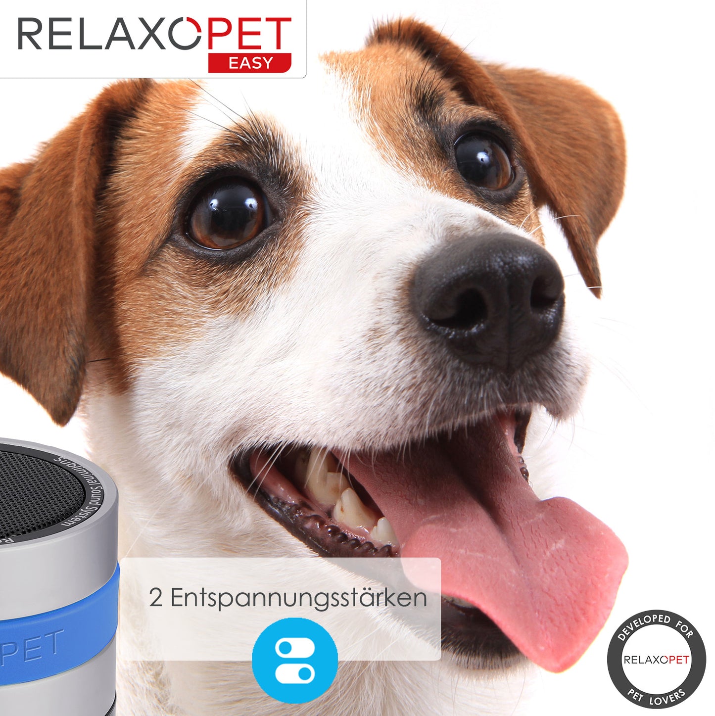 EASY | Entspannungs-Trainer für Hunde