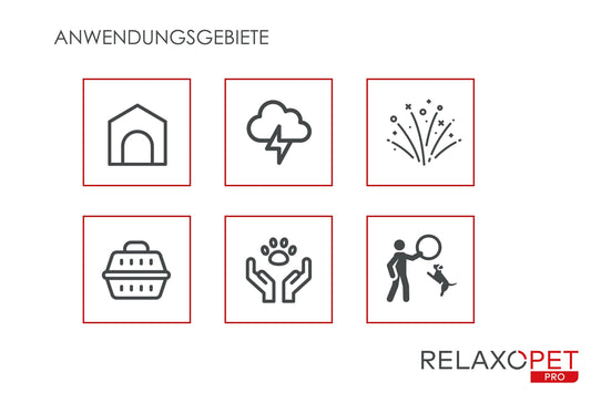 PRO | Tierentspannungs-Trainer für Hunde - RelaxoPet