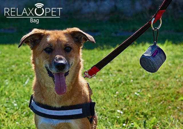 BAG - RelaxoPet