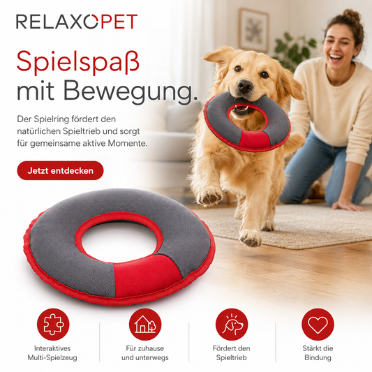 PLAY | Multi-Ring