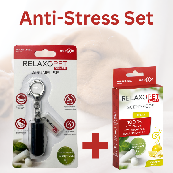 SENSE | AIR INFUSE SET Relax