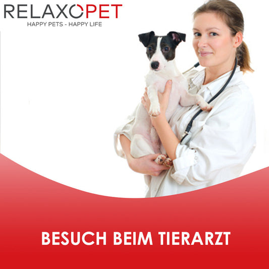 Eine Tierärztin mit einem Hund auf dem Arm.