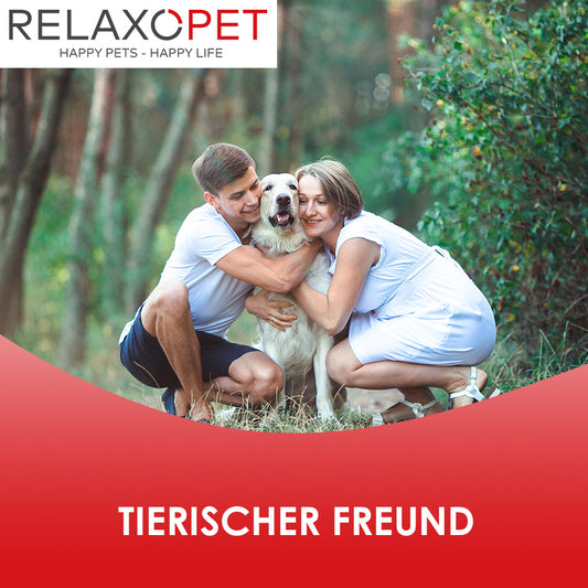 Unser tierischer Hundefreund