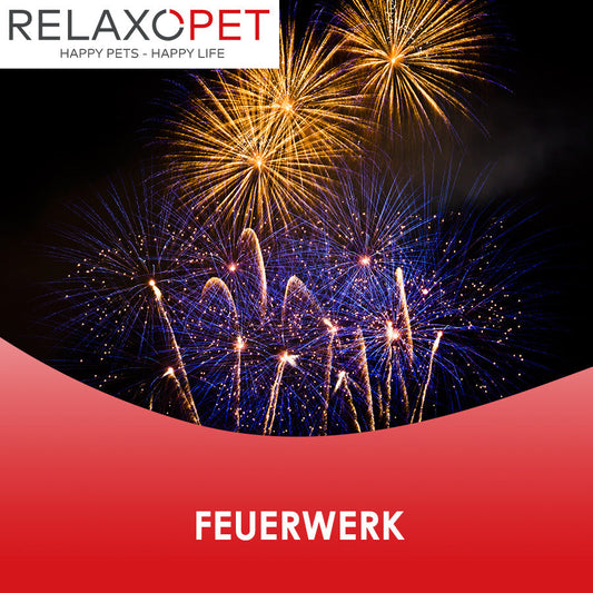 Man sieht Feuerwerk am dunklen Himmel.