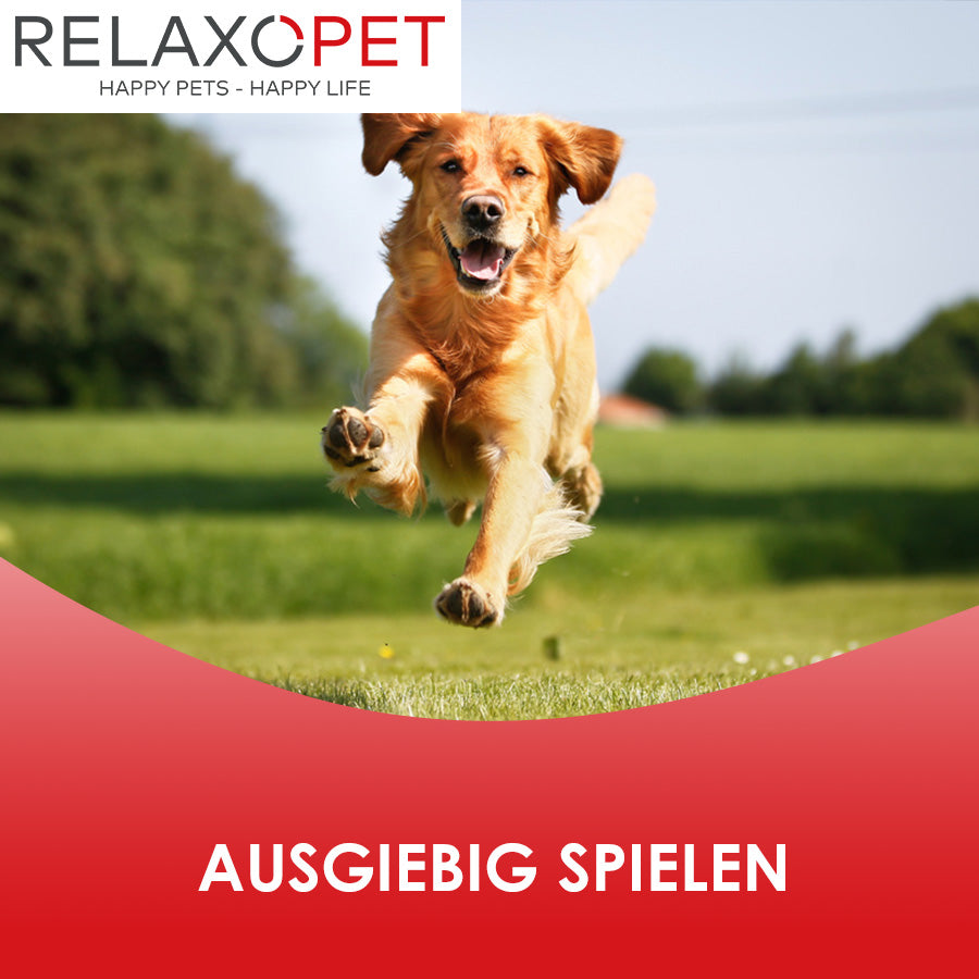 Ausgiebig Spielen