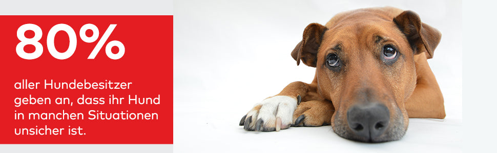 PRO | Entspannungs-Trainer HUND