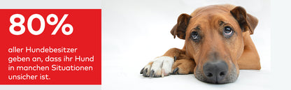 PRO | Entspannungs-Trainer HUND