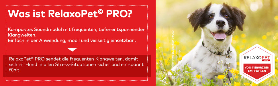 PRO | Entspannungs-Trainer HUND