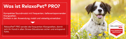 PRO | Entspannungs-Trainer HUND