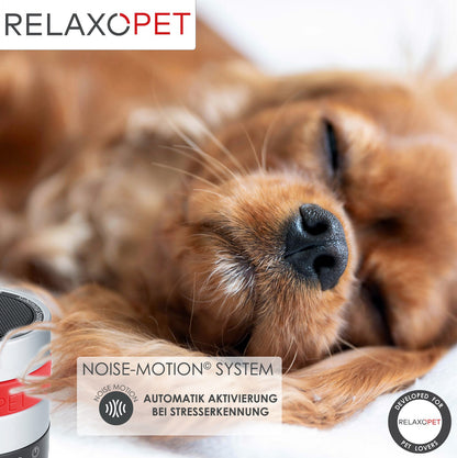 PRO | Tierentspannungs-Trainer für Hunde - RelaxoPet