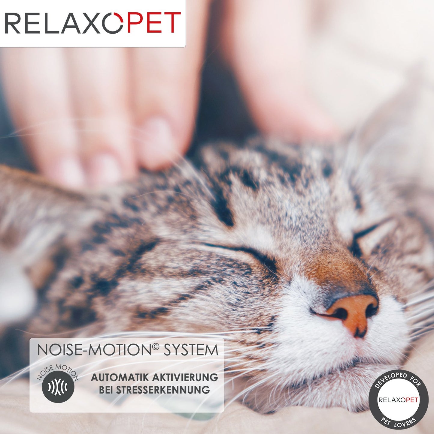 PRO | Tierentspannungs-Trainer für Katzen - RelaxoPet