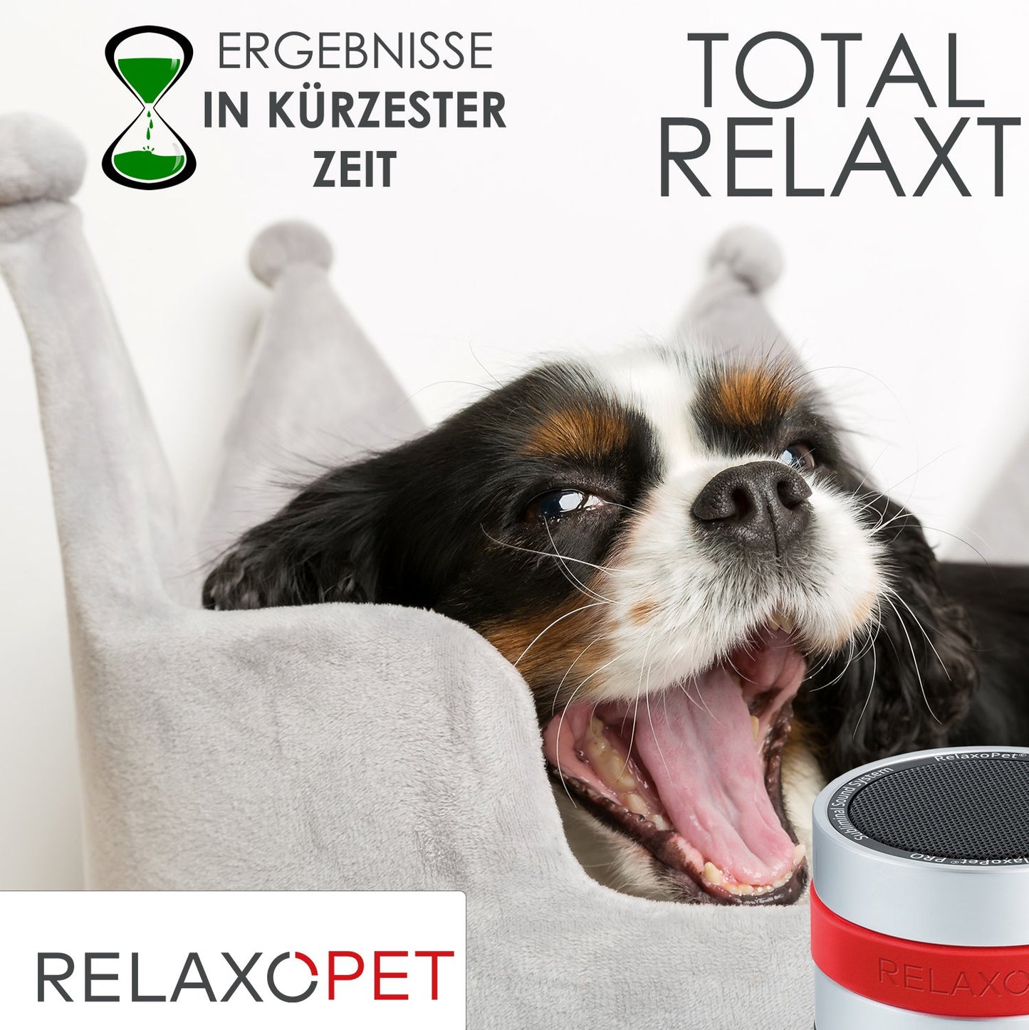 PRO | Tierentspannungs-Trainer für Hunde - RelaxoPet
