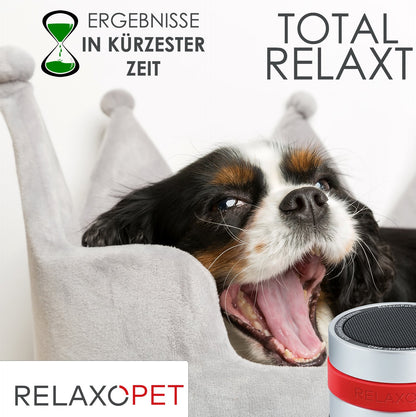 PRO | Tierentspannungs-Trainer für Hunde - RelaxoPet