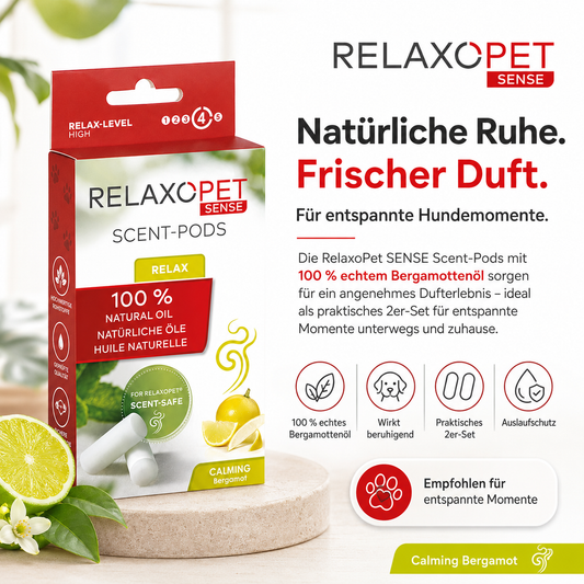 SENSE | Duftpod Entspannung Bergamotte